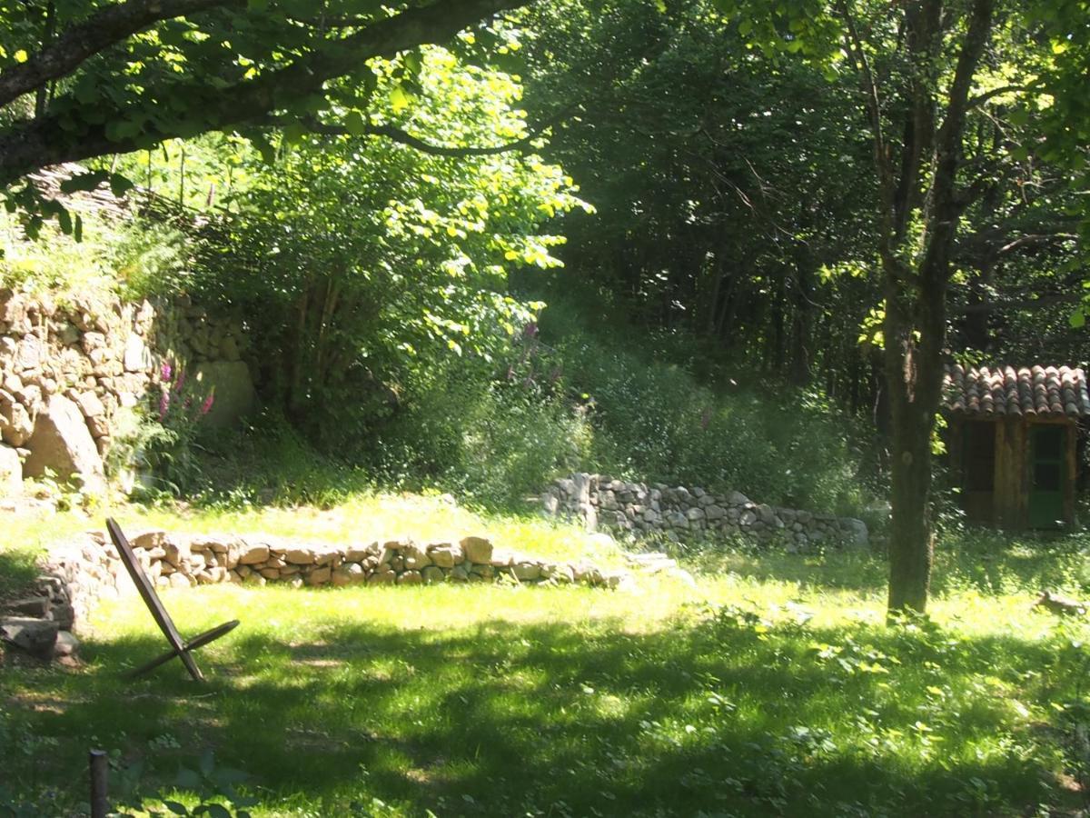 Grande Tente Tipi En Pleine Foret Burzet Exterior photo