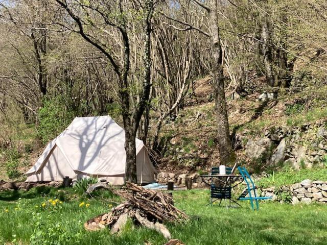 Grande Tente Tipi En Pleine Foret Burzet Exterior photo